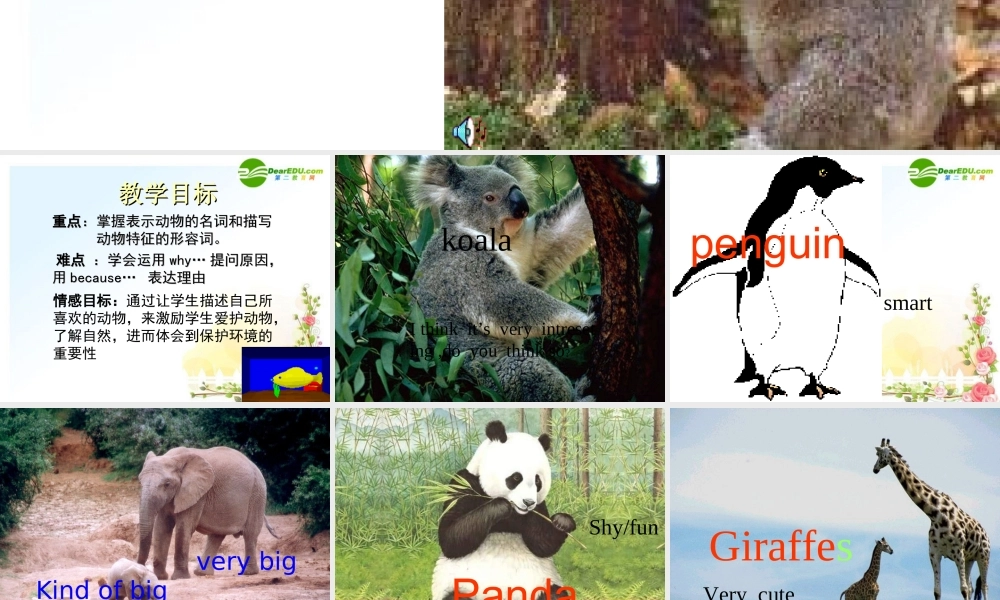 八年级英语上册 unit5 jingdainkejian讲课用课件 人教新目标版 课件