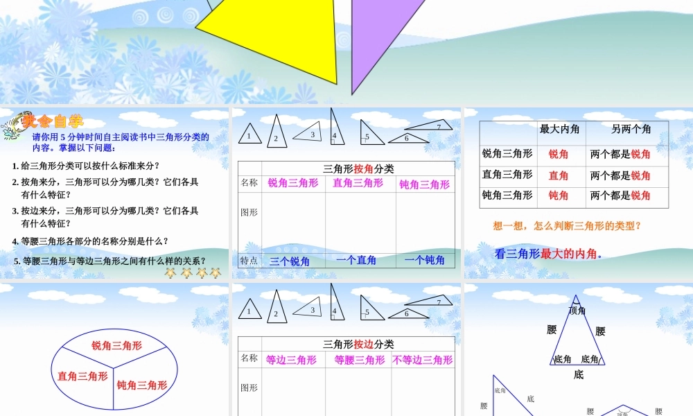 《三角形分类》2