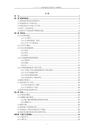XX时装有限公司清洁生产审核报告