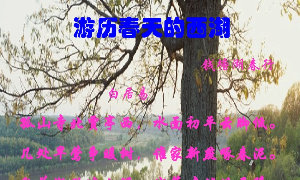 中学七年级语文上册 10 济南的冬天课件 (新版)语文版 课件