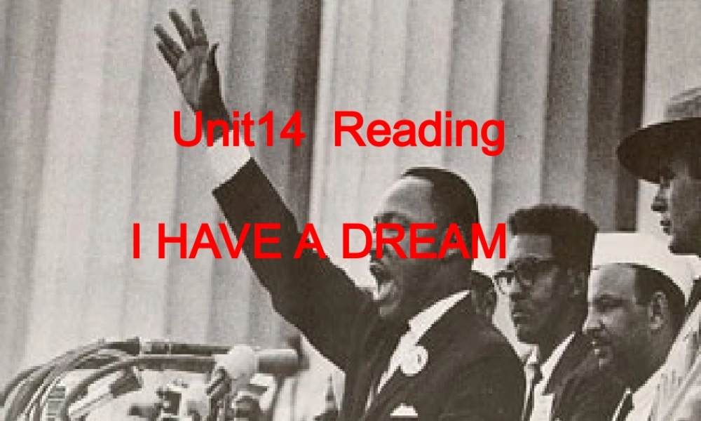 人教版高二英语下学期Uint14 Freedom Fighters 课件