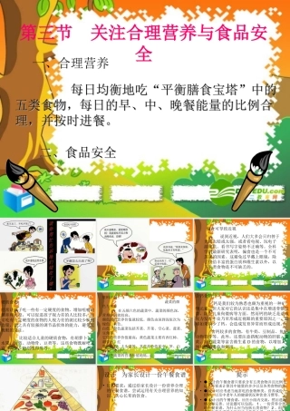 七年级生物下册：第四单元第二章第三节关注合理营养与食品安全6课件 人教版 课件