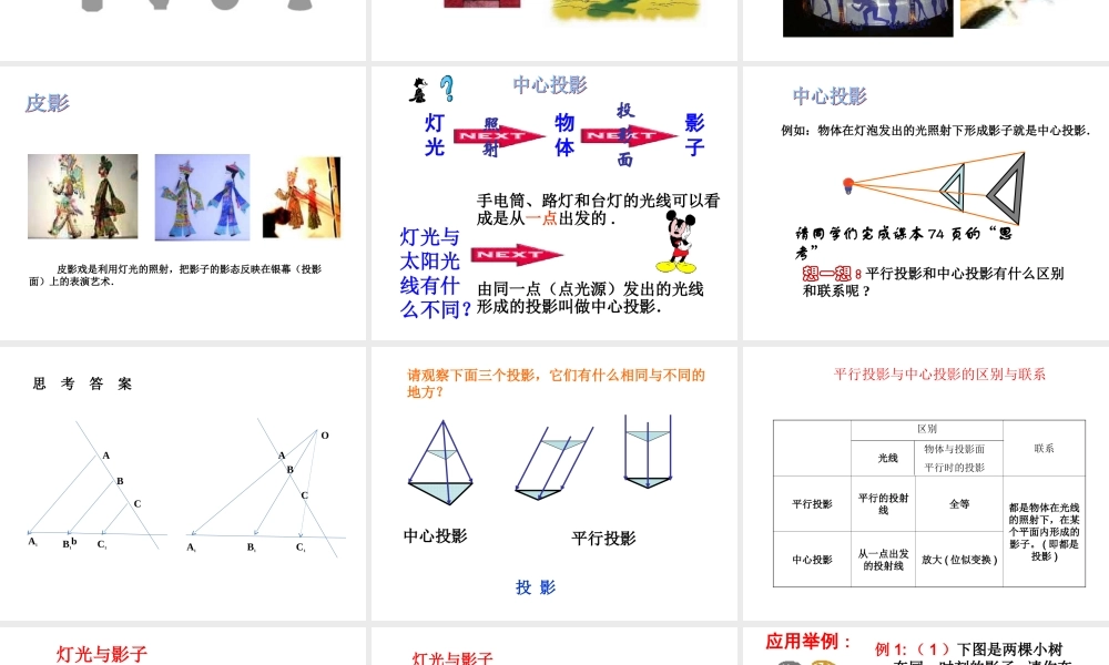 25.1投影