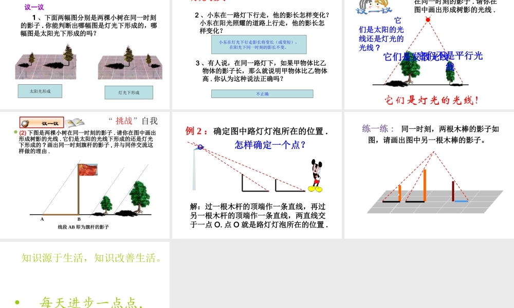 25.1投影