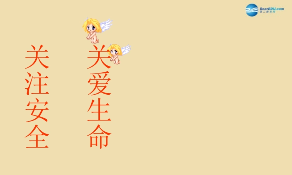中学安全教育主题班会 关注安全，关爱生命课件