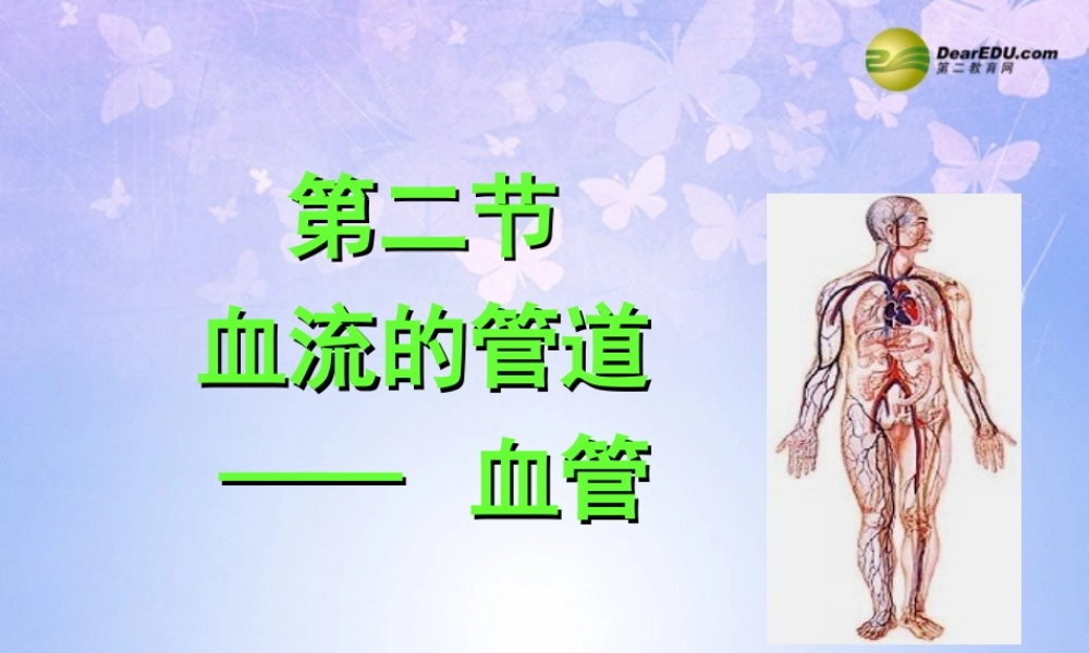 八年级生物上册 第四章 血管课件 鲁科版 课件