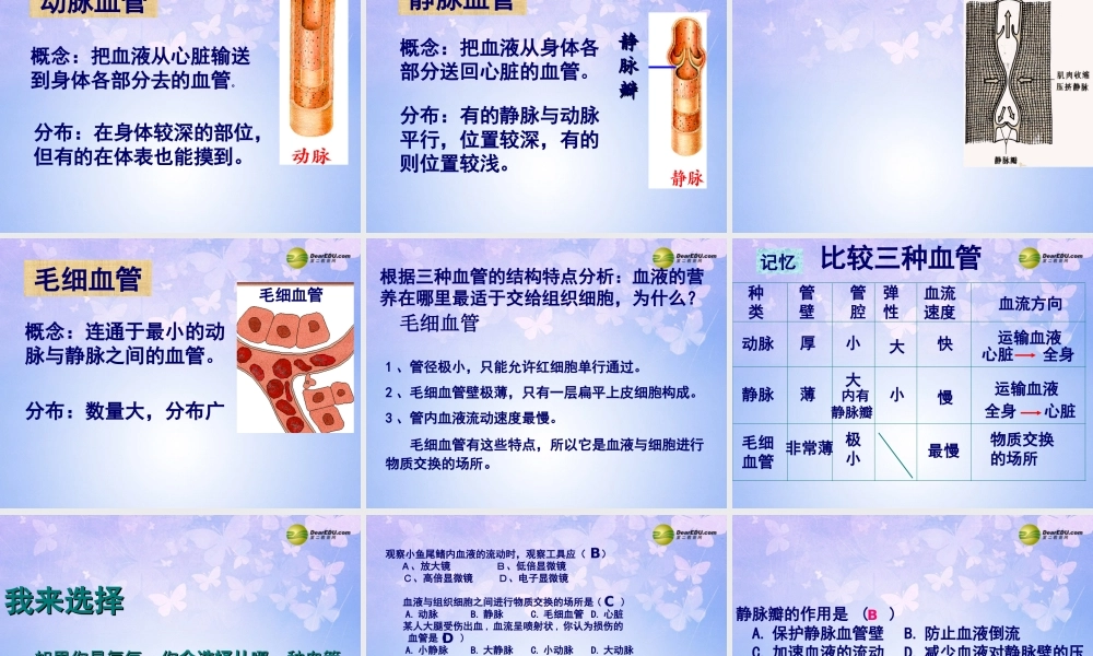 八年级生物上册 第四章 血管课件 鲁科版 课件