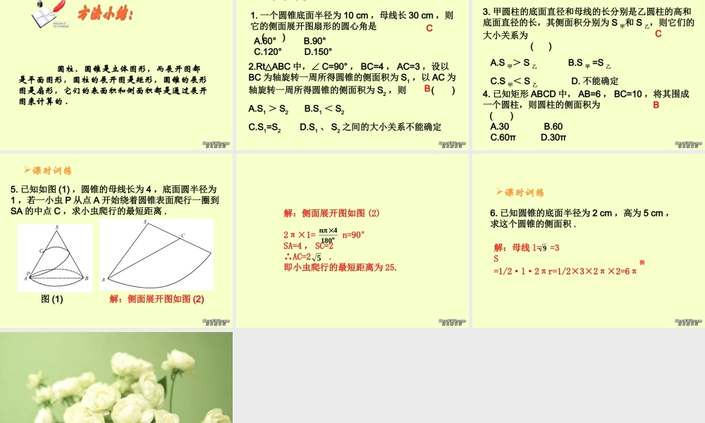 圆柱与圆锥中考数学复习课件 华东师大版 课件