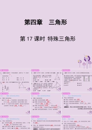 春中考数学复习 第4章 三角形 第17课时 特殊三角形课件
