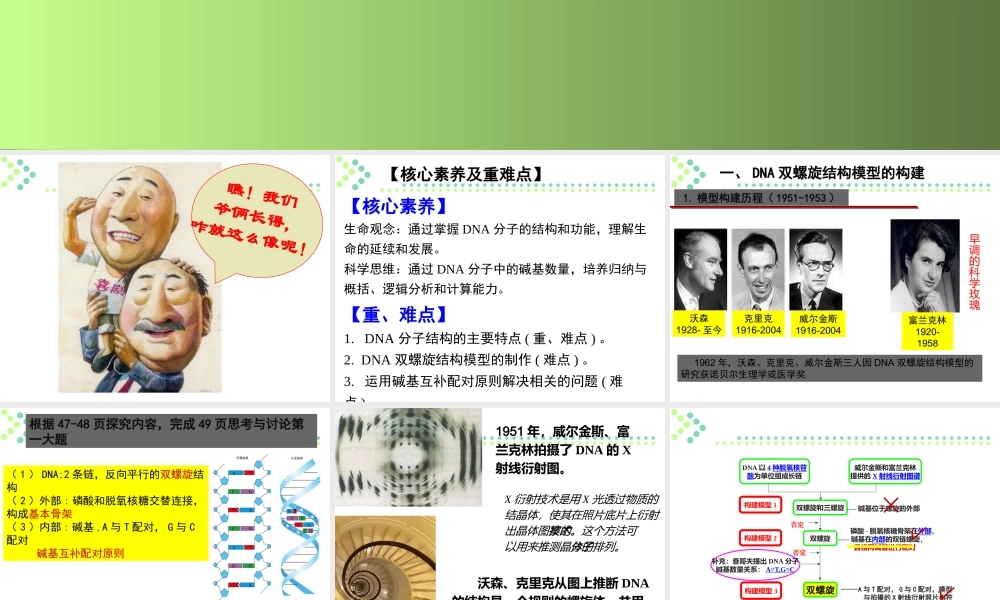 科学家访谈-我赞叹生命的美丽