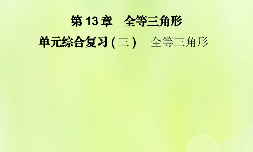 八年级数学上册 第13章 全等三角形 单元综合复习(三)全等三角形习题课件 (新版)华东师大版 课件