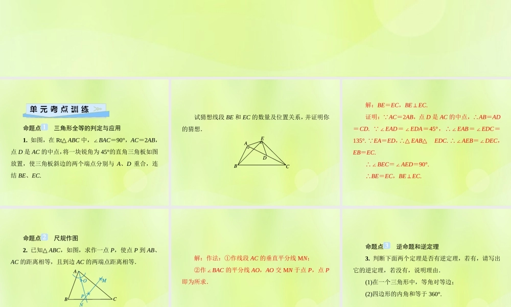 八年级数学上册 第13章 全等三角形 单元综合复习(三)全等三角形习题课件 (新版)华东师大版 课件