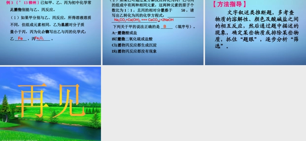 中考化学专题复习 物质的推断课件