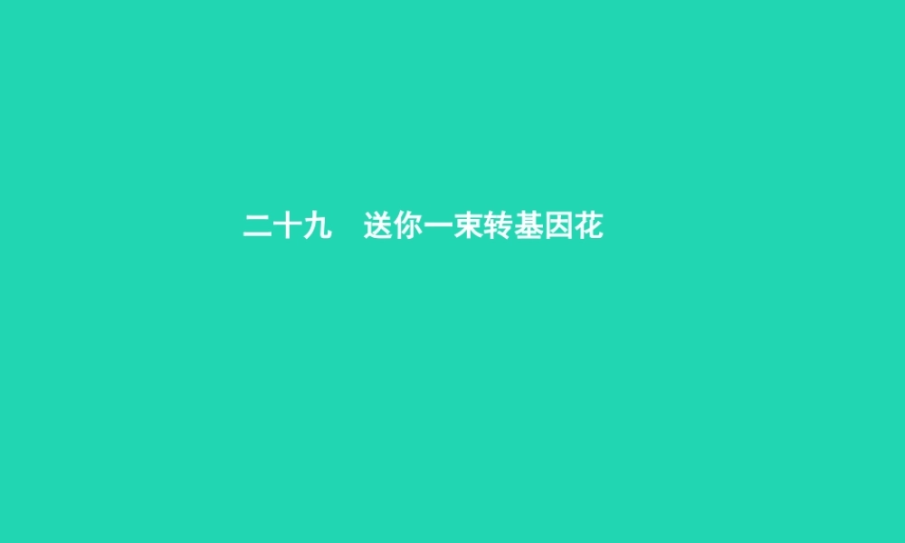 八年级语文上册 第六单元 二十九 送你一束转基因花课件 苏教版 课件