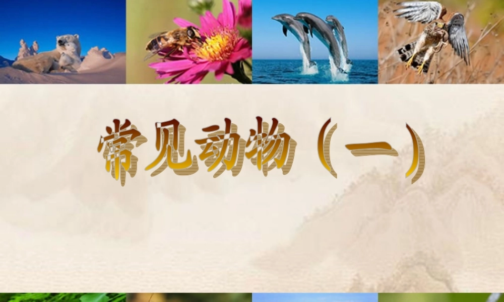 七年级科学上册 常见的动物(一) 课件 浙教版 课件