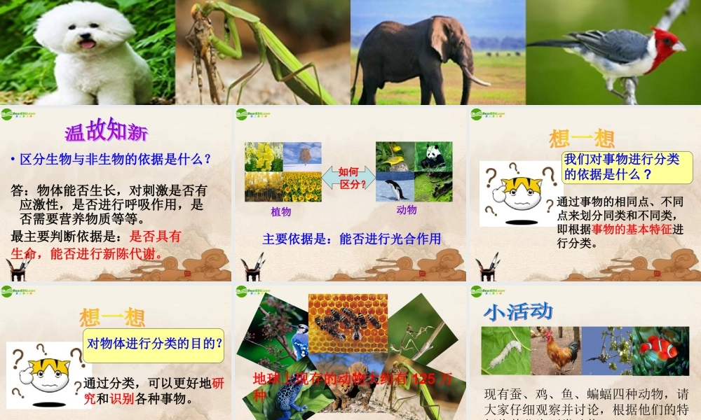 七年级科学上册 常见的动物(一) 课件 浙教版 课件