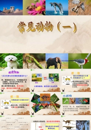 七年级科学上册 常见的动物(一) 课件 浙教版 课件