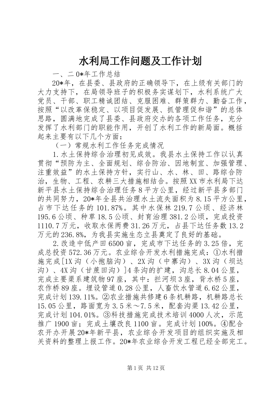 水利局工作问题及工作计划_第1页