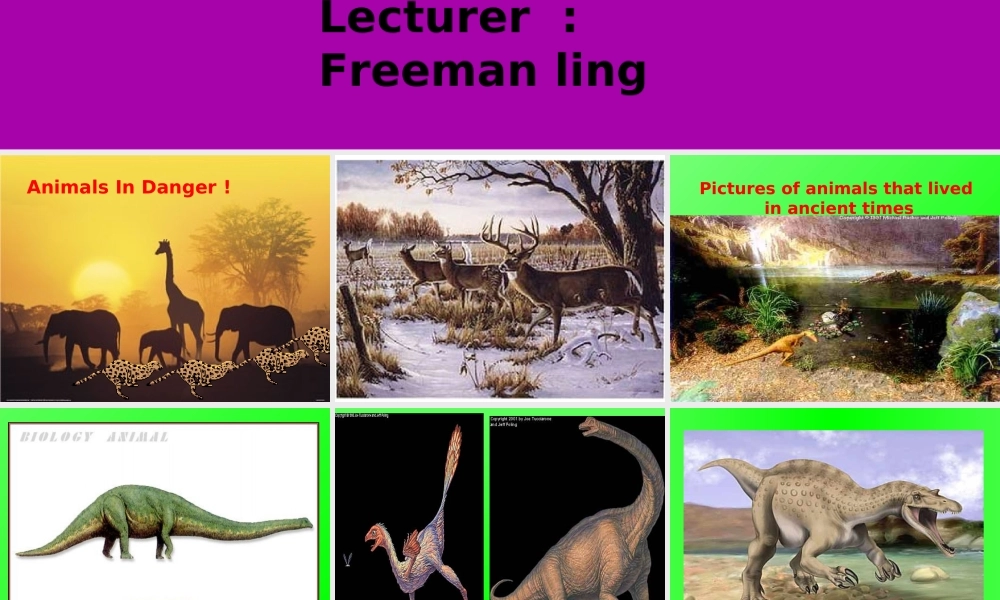 Unit-9--Animals-in-danger
