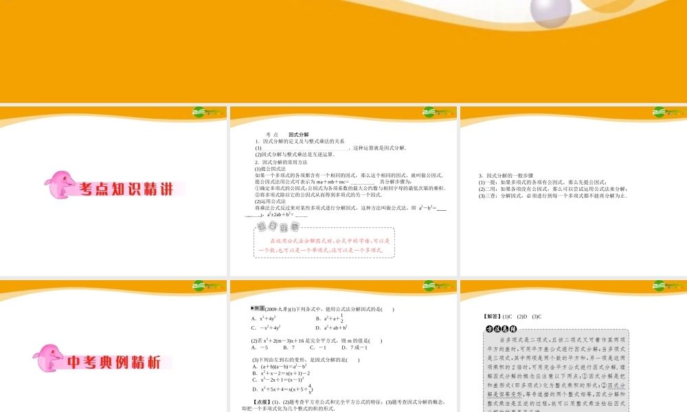 中考数学专题复习 第4讲 因式分解课件