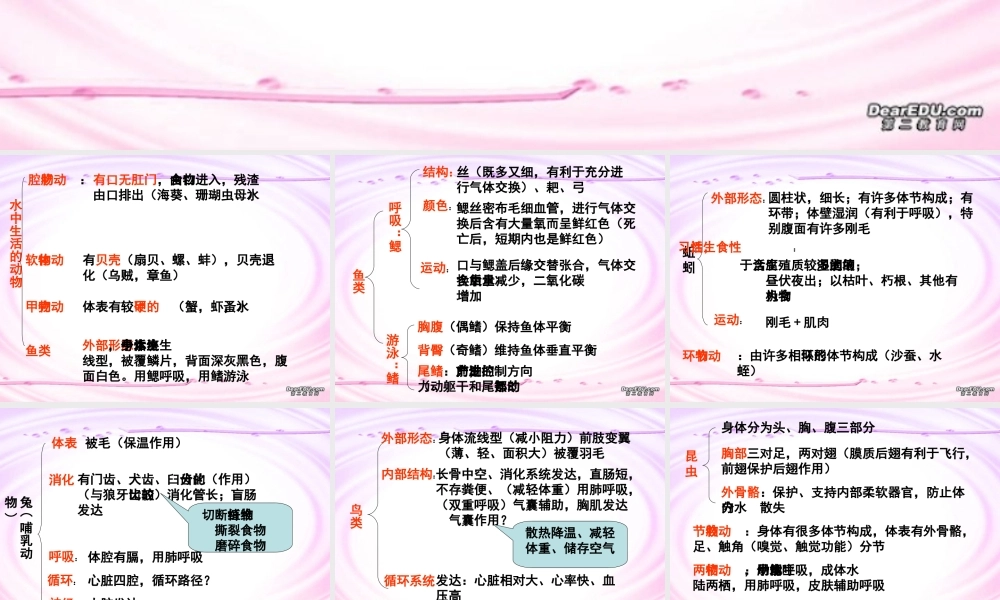 各种环境中的动物八年级生物上册第五单元第一章复习提纲 课件