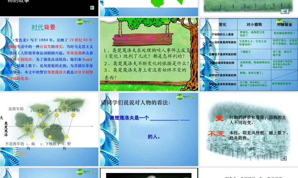 八年级语文下册(变色龙)课件 苏教版 课件