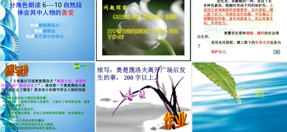 八年级语文下册(变色龙)课件 苏教版 课件