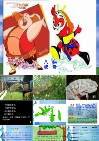 八年级语文下册(变色龙)课件 苏教版 课件