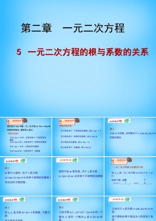 九年级数学上册 25 一元二次方程的根与系数的关系课件 (新版)北师大版 课件