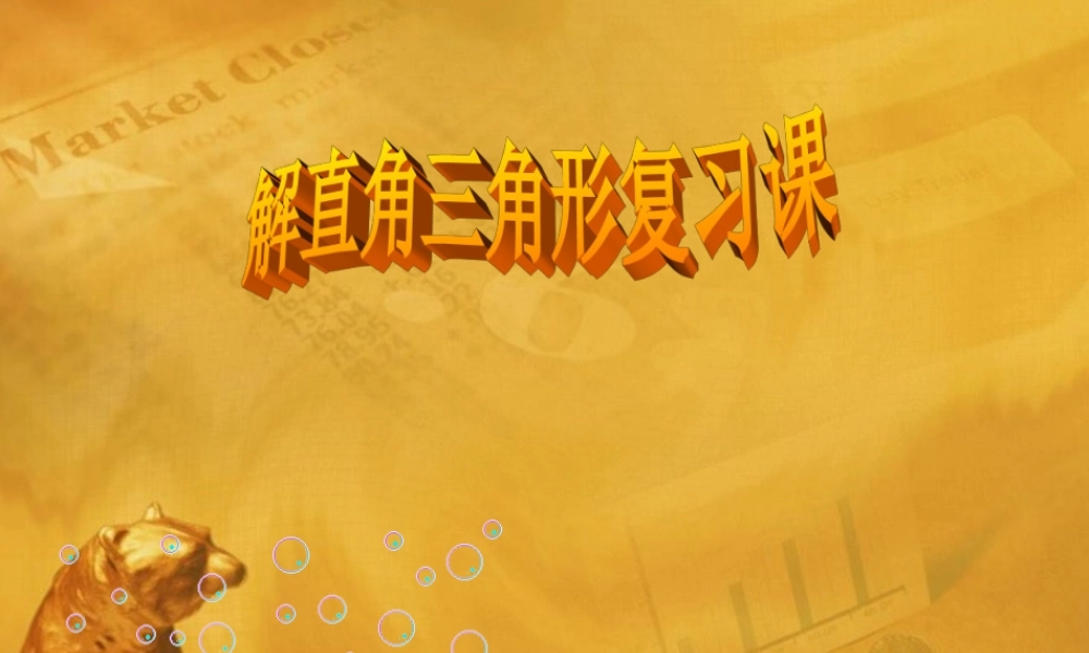 九年级数学下册 (解直角三角形中考复习课)课件  苏科版 课件