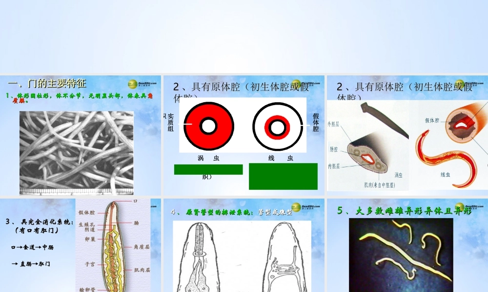 八年级生物上册 第五单元 1.2 线形动物课件 (新版)新人教版 课件