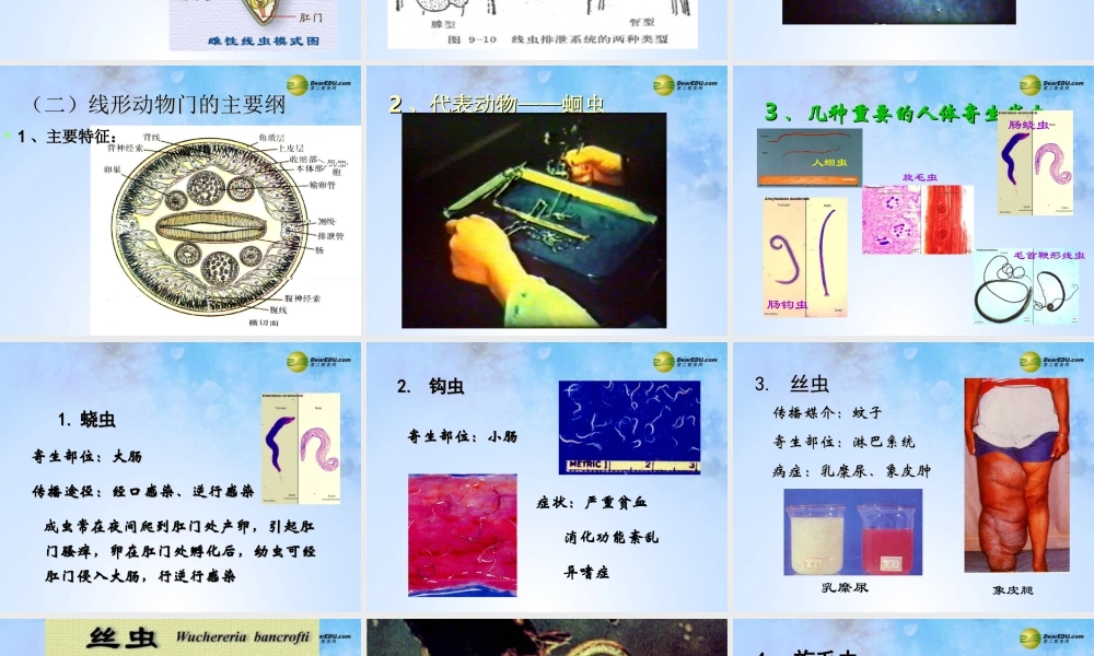 八年级生物上册 第五单元 1.2 线形动物课件 (新版)新人教版 课件