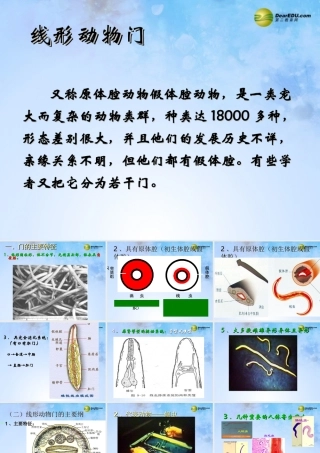 八年级生物上册 第五单元 1.2 线形动物课件 (新版)新人教版 课件