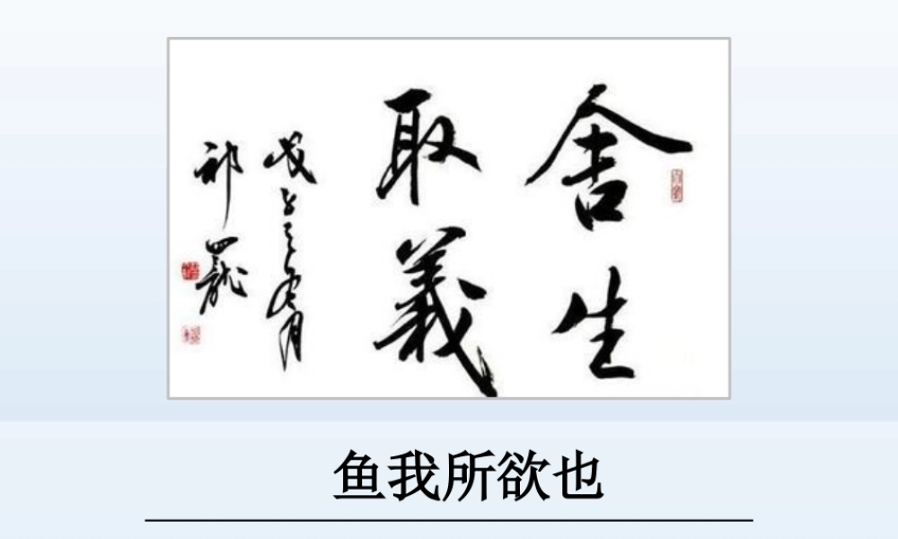 9鱼我所欲也-(2)