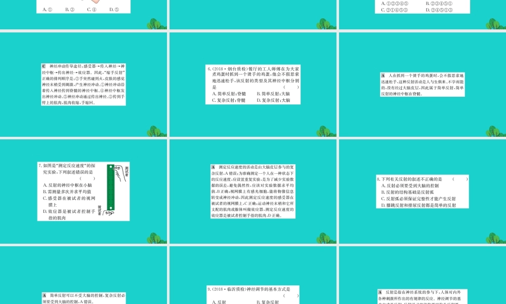 七年级生物下册 4.6.3 神经调节的基本方式习题课件(新版)新人教版 课件