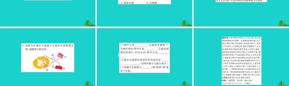 七年级生物下册 4.6.3 神经调节的基本方式习题课件(新版)新人教版 课件