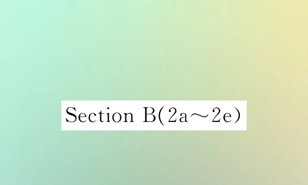 九年级英语全册 Unit 7 Teenagers should be allowed to choose their own clothes Section B(2a 2e)课时检测课件 (新版)人教新目标版 课件