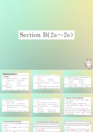 九年级英语全册 Unit 7 Teenagers should be allowed to choose their own clothes Section B(2a 2e)课时检测课件 (新版)人教新目标版 课件