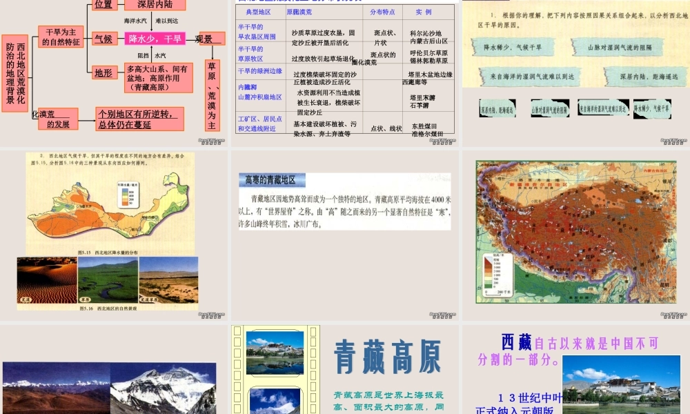 八年级地理下学期西北地区与青藏地区课件 新课标 人教版 课件