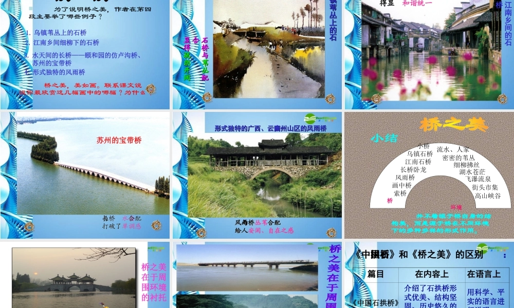 八年级语文上册 (桥之美)教学课件 人教新课标版 课件