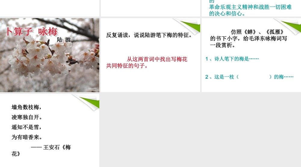 七年级语文下册 卜算子 咏梅课件 苏教版 课件