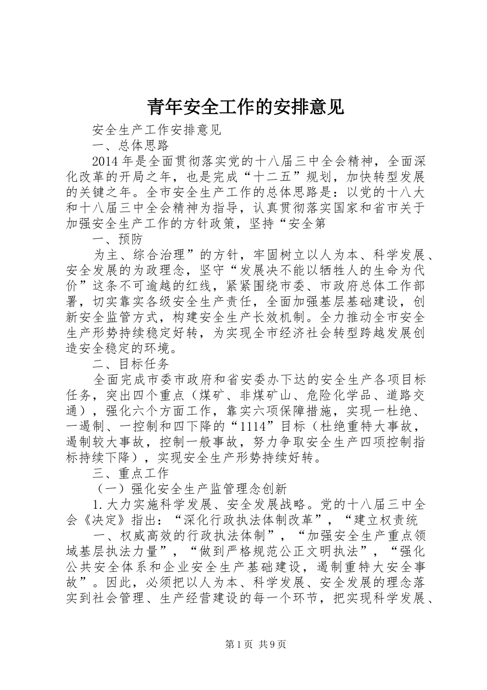 青年安全工作的安排意见_第1页