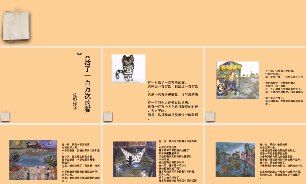 初中语文 活了一百万次的猫课件