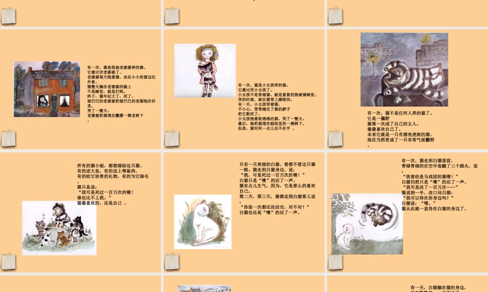 初中语文 活了一百万次的猫课件