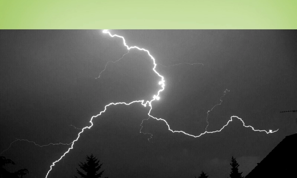 八年级语文下册 第9课(海燕)课件 (新版)新人教版 课件