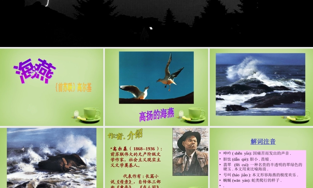 八年级语文下册 第9课(海燕)课件 (新版)新人教版 课件