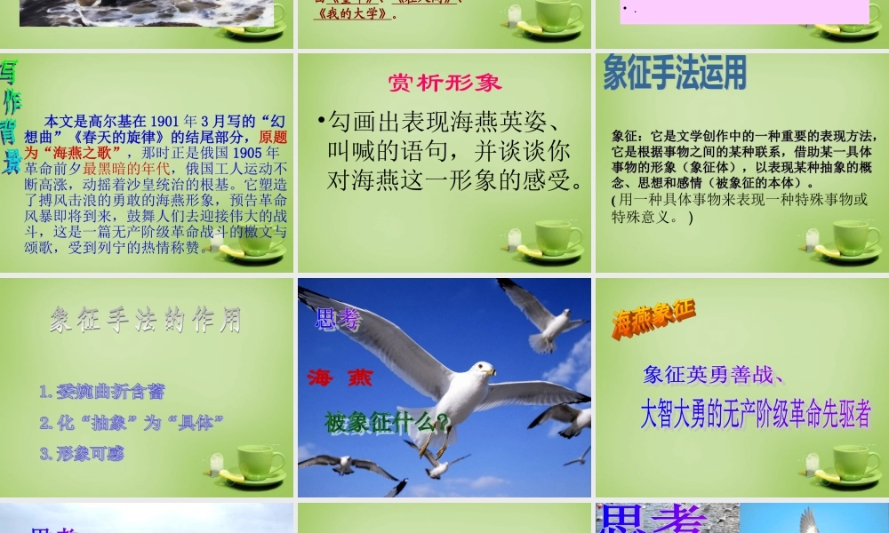 八年级语文下册 第9课(海燕)课件 (新版)新人教版 课件