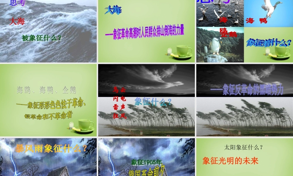 八年级语文下册 第9课(海燕)课件 (新版)新人教版 课件