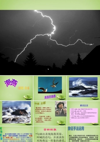 八年级语文下册 第9课(海燕)课件 (新版)新人教版 课件