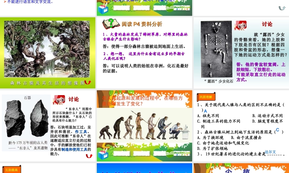 七年级生物下册：第四单元第一章第一节人类的起源和发展3课件 人教版 课件